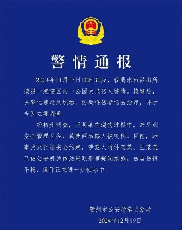 必威遛狗别 “任性”！不栓绳危害多伤人隐患与法律红线不可小觑(图1)